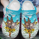Donkey Personalize Clog, Custom Name, Text, Fashion Style For Women, Men, Kid, Print 3D Donkey Friends
