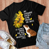 Bulldog My Sunshine T-Shirt Custom T Shirts Printing Bulldog My Sunshine T-Shirt Custom T Shirts Printing - Vegamart.com