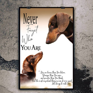 Dachshund Never Forget Who You Are Vertical Poster Dachshund Never Forget Who You Are Vertical Poster - Vegamart.com