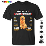 Anatomy Of A Golden Retriever Dogs Lovers T-Shirt Custom T Shirts Printing Anatomy Of A Golden Retriever Dogs Lovers T-Shirt Custom T Shirts Printing - Vegamart.com
