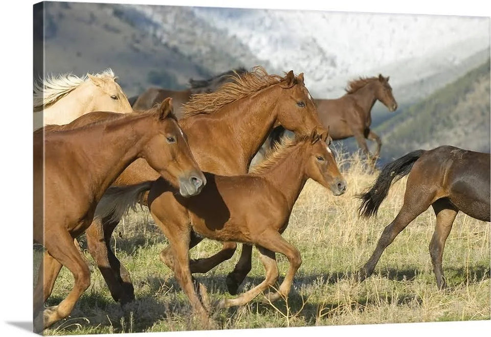 Horses Running | Large Solid-Faced Canvas Wall Art Print Vertical Poster Horses Running | Large Solid-Faced Canvas Wall Art Print Vertical Poster - Vegamart.com